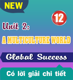 UNIT 2. A MULTICULTURE WORLD - G12 (2027)